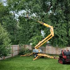 Best Tree and Shrub Care  in Miamisburg, OH