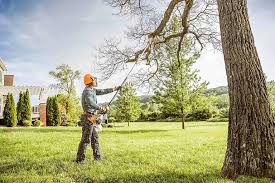 Best Tree Trimming and Pruning  in Miamisburg, OH