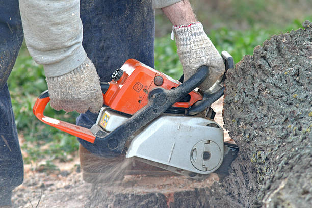 Seasonal Cleanup (Spring/Fall) in Miamisburg, OH